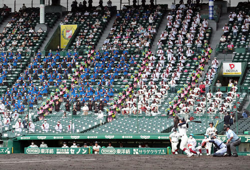 東海大菅生対大阪桐蔭　1回裏大阪桐蔭2死二塁、内野スタンドの応援団、チアを背に先制の中越え2点本塁打を放つ花田（撮影・垰建太）