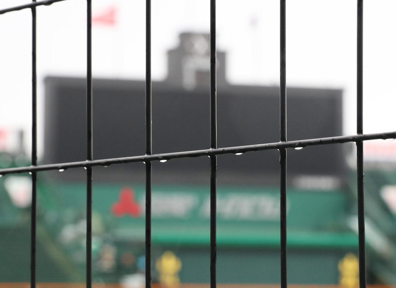 今日18日の試合は天候不良のため中止となる（撮影・清水貴仁）