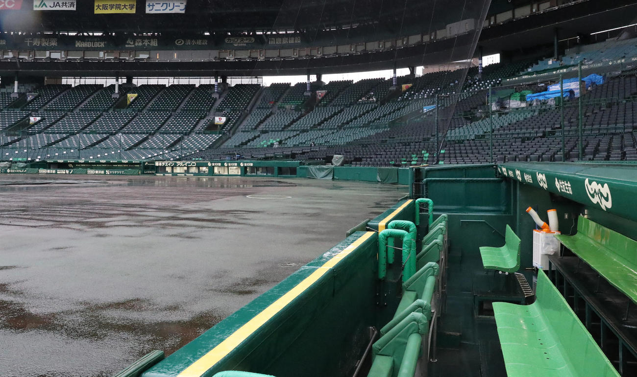 今日18日の試合は天候不良のため中止となる（撮影・清水貴仁）