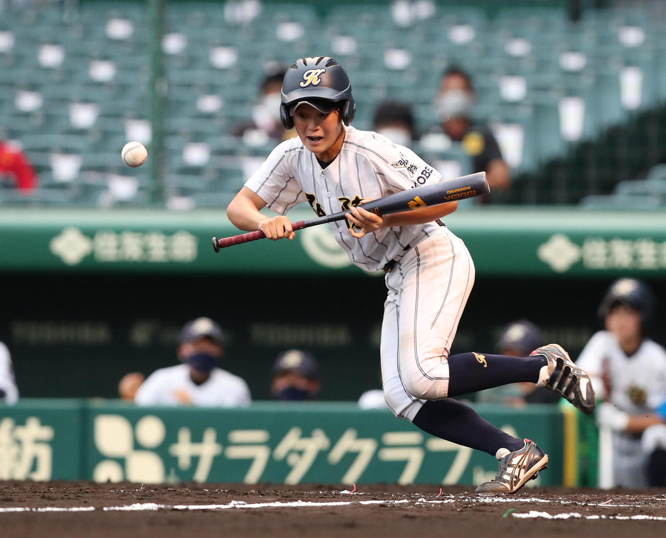 高知中央対神戸弘陵　2回裏神戸弘陵1死一、三塁、先制のスクイズを決める糸瀬（撮影・白石智彦）