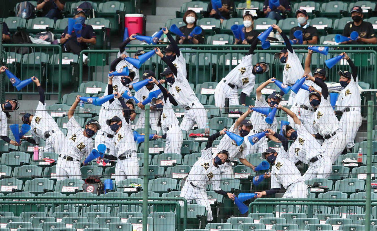 高知中央対神戸弘陵　神戸弘陵女子ナインを応援する男子野球部員（撮影・白石智彦）