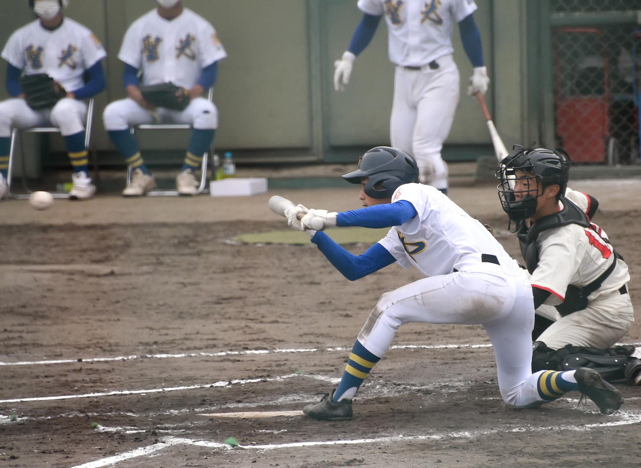 聖光学院対日大東北　7回表聖光学院1死一、三塁、勝ち越しのスクイズを決める赤堀（撮影・山田愛斗）