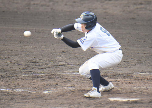 金光大阪対高田商　4回表金光大阪1死一、三塁、福冨龍之介が投前スクイズを決める（撮影・滝沢美穂子）