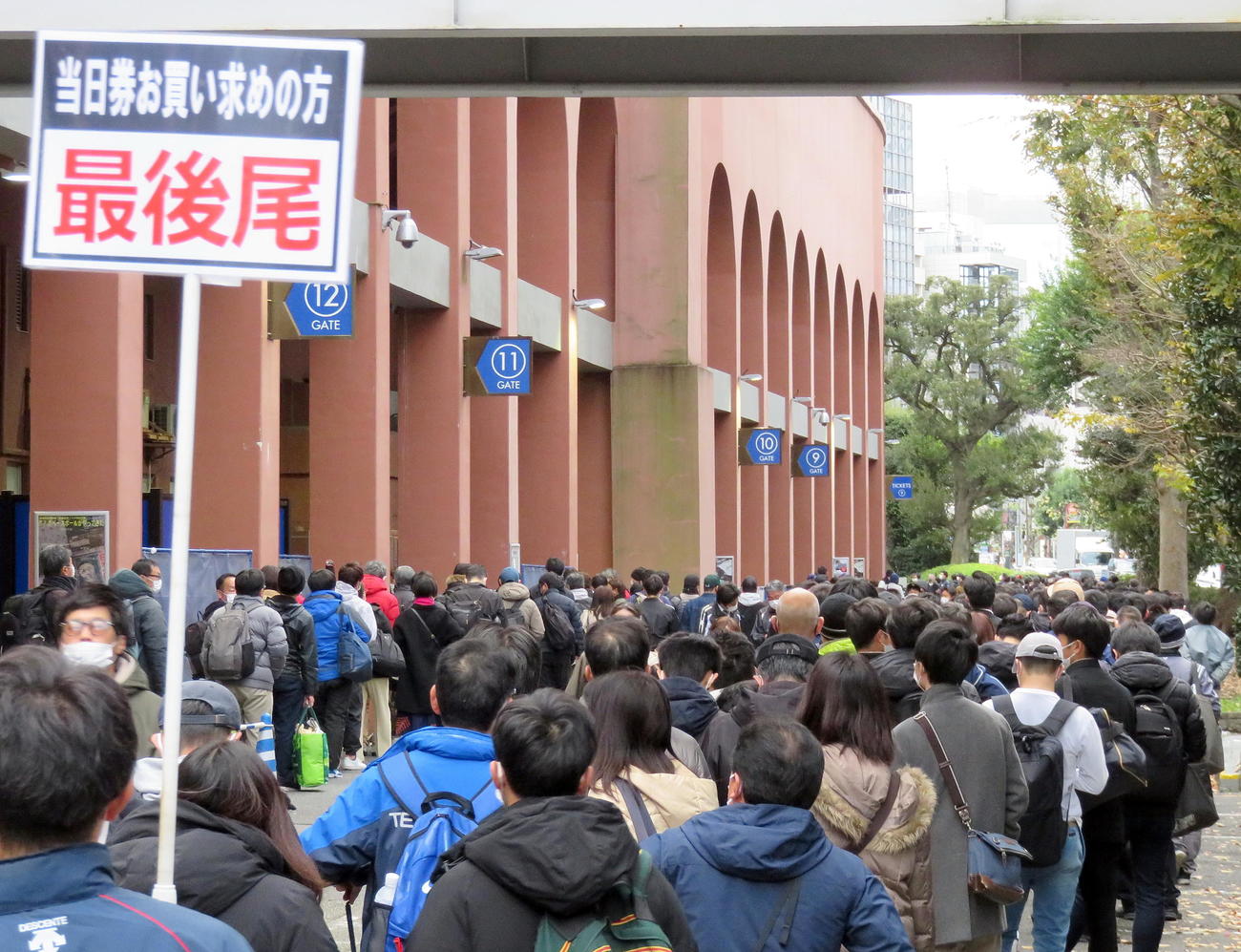 神宮球場で当日券購入を求める長蛇の列（撮影・鎌田直秀）