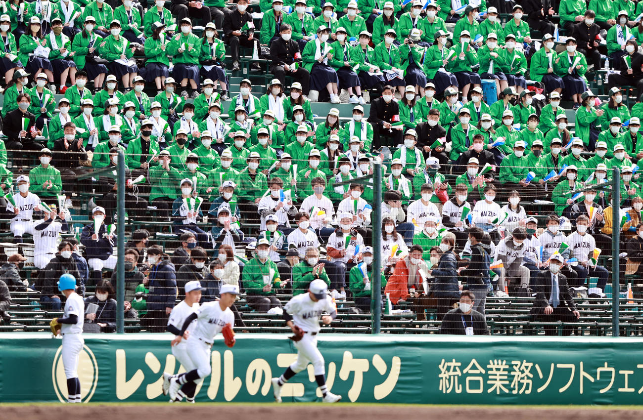 大分舞鶴対浦和学院　選手たちの懸命のプレーにメガホンをたたき応援する大分舞鶴応援団（撮影・垰建太）