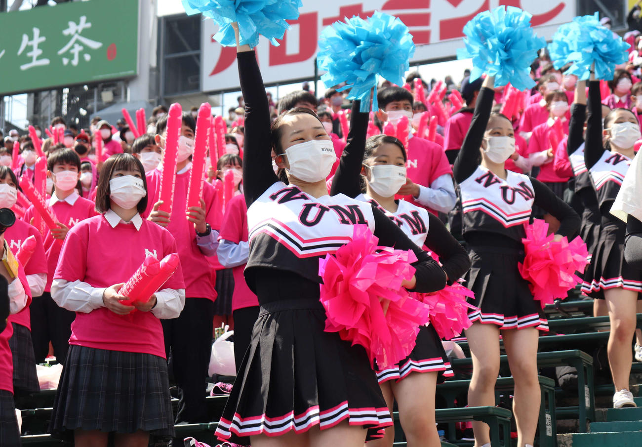 38年ぶりの出場に、全力を込めて応援する小野日花里さん