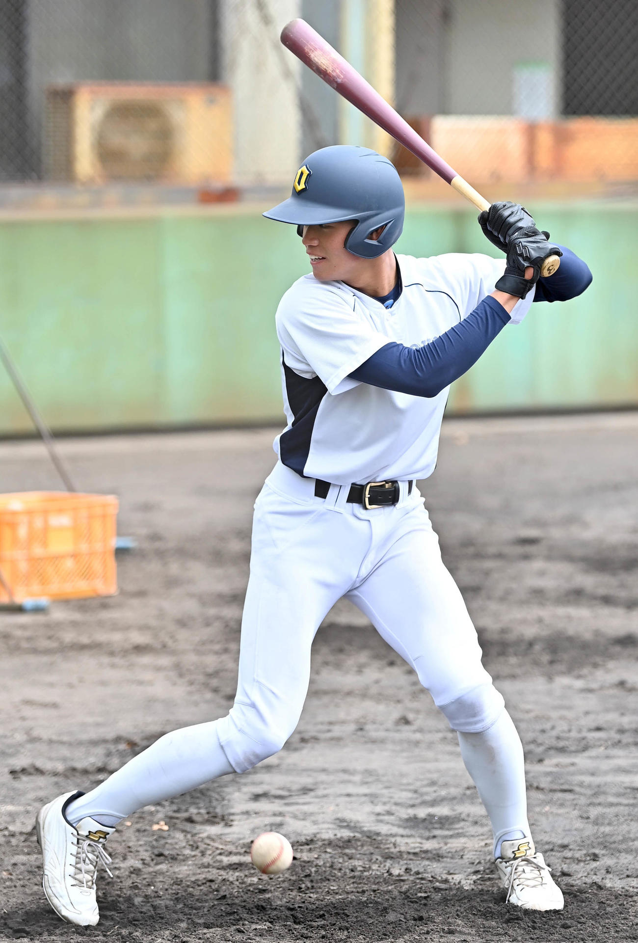打撃練習をする近江・津田（代表撮影）