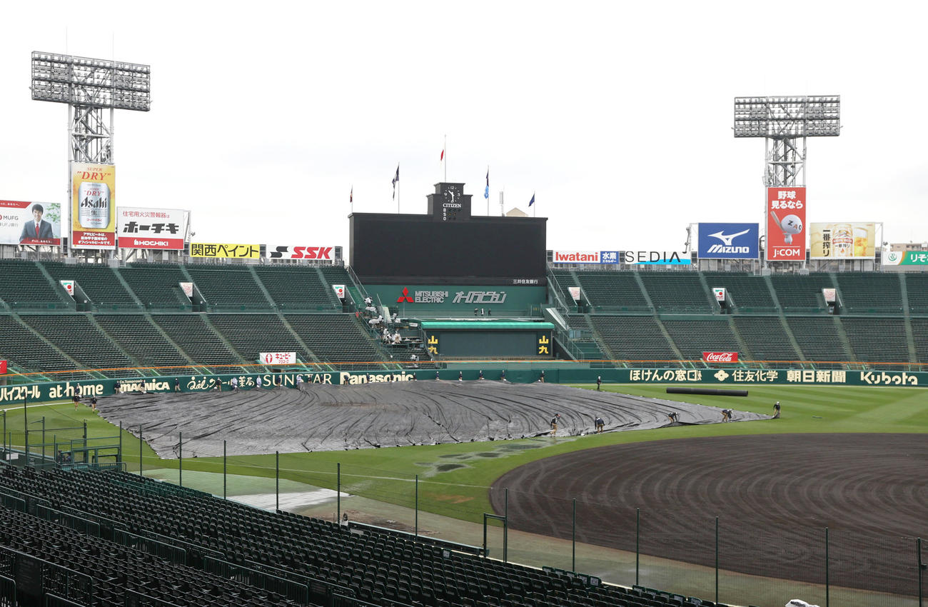 決勝戦に向け、前日に被せられたシートを外す作業をする阪神園芸（撮影・上山淳一）