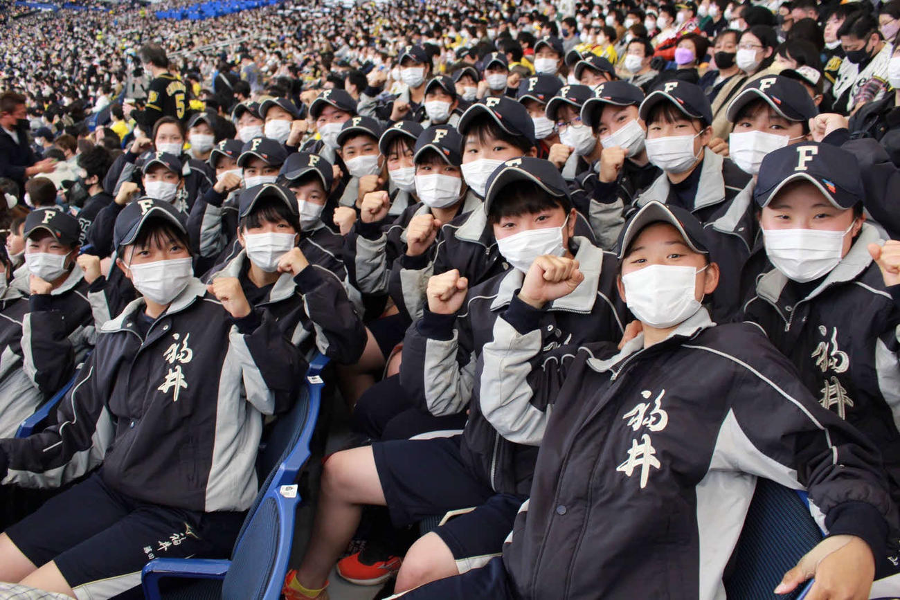 決勝を前に巨人対阪神戦を観戦した女子野球の福井工大福井選手たち（撮影・たえ見朱実）
