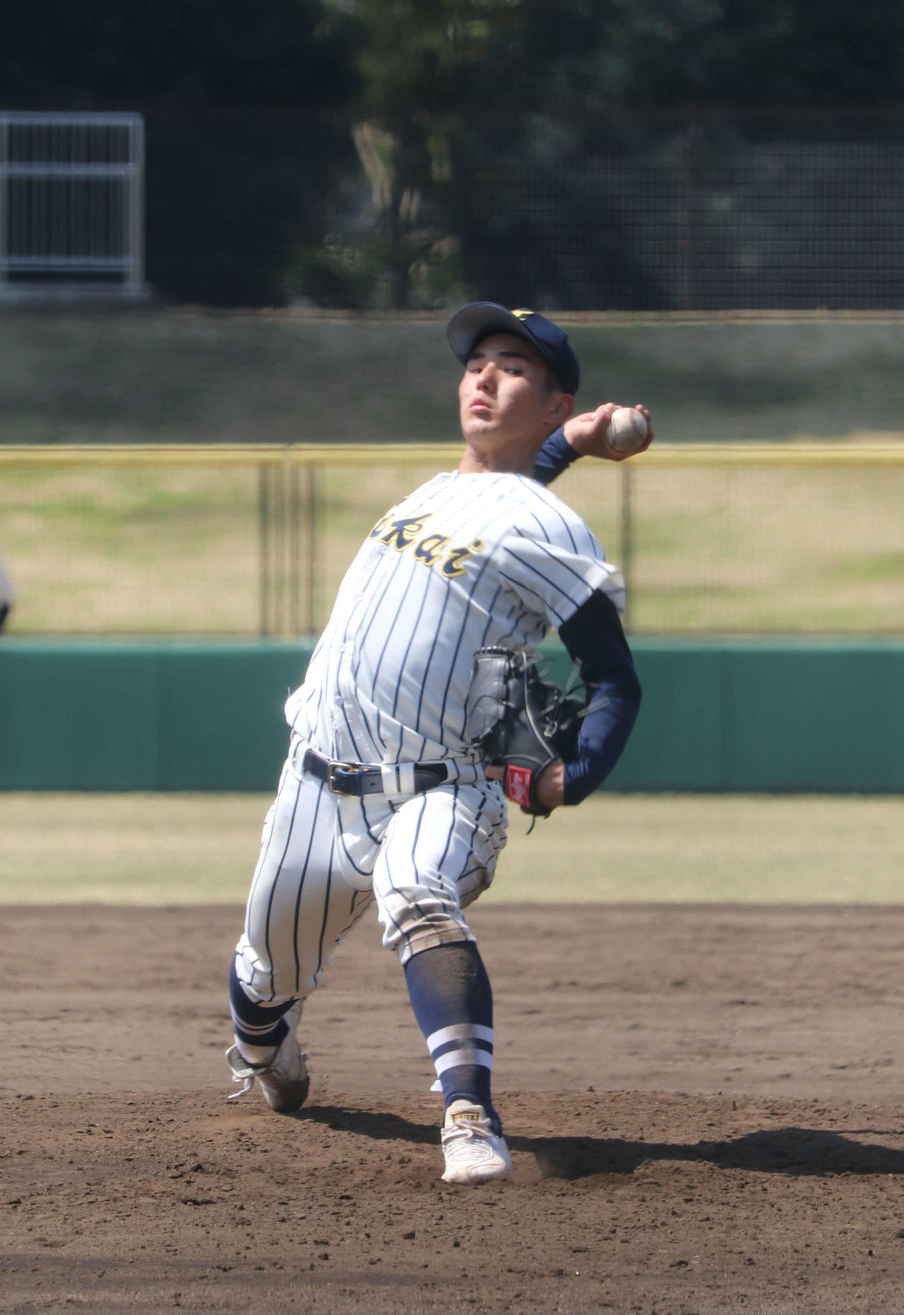 6回を投げ3安打9三振1四球と好投した、東海大相模、先発の求（撮影・保坂淑子）