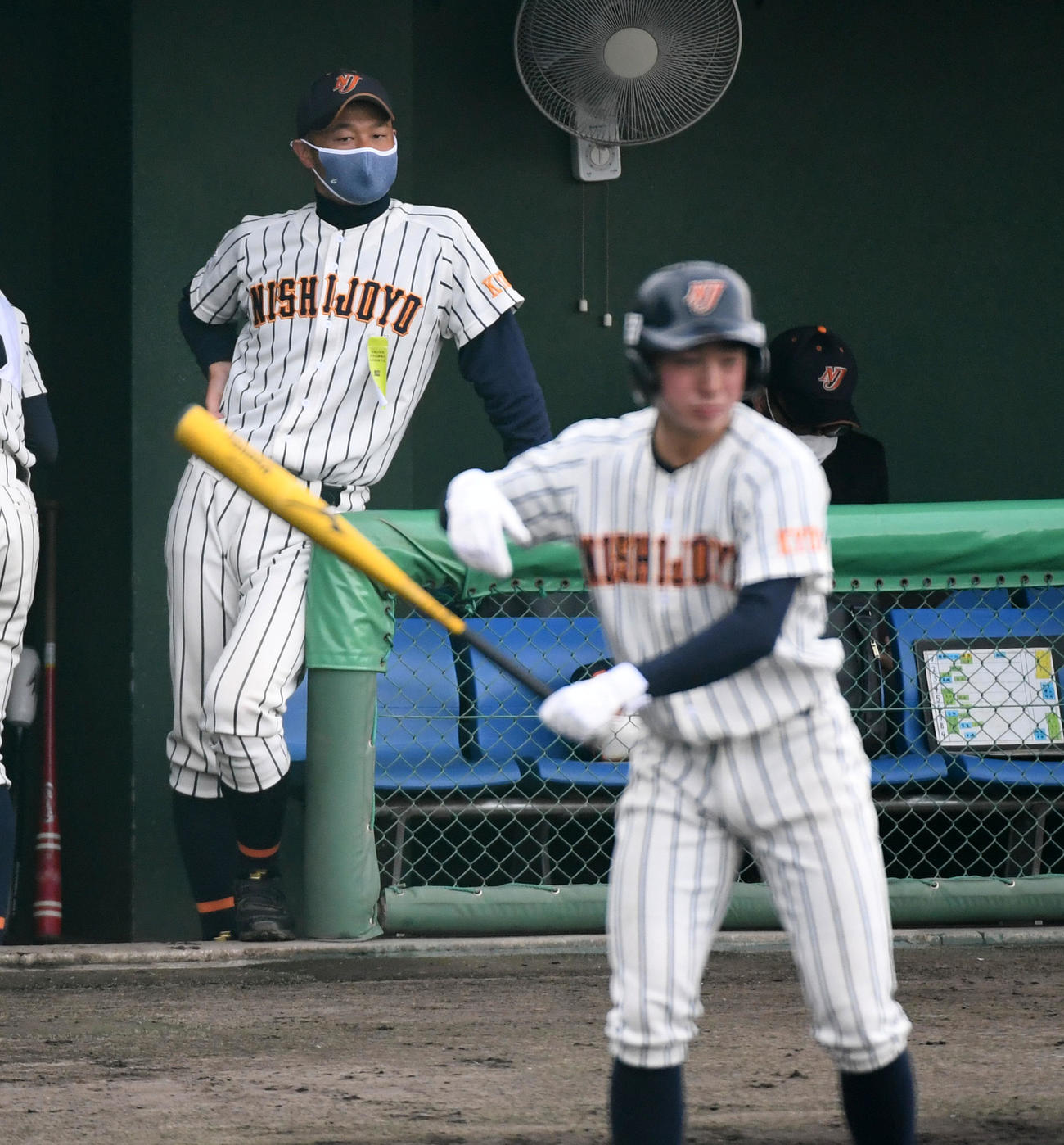 智弁和歌山対西城陽　戦況を見る西城陽・染田監督（撮影・前岡正明）