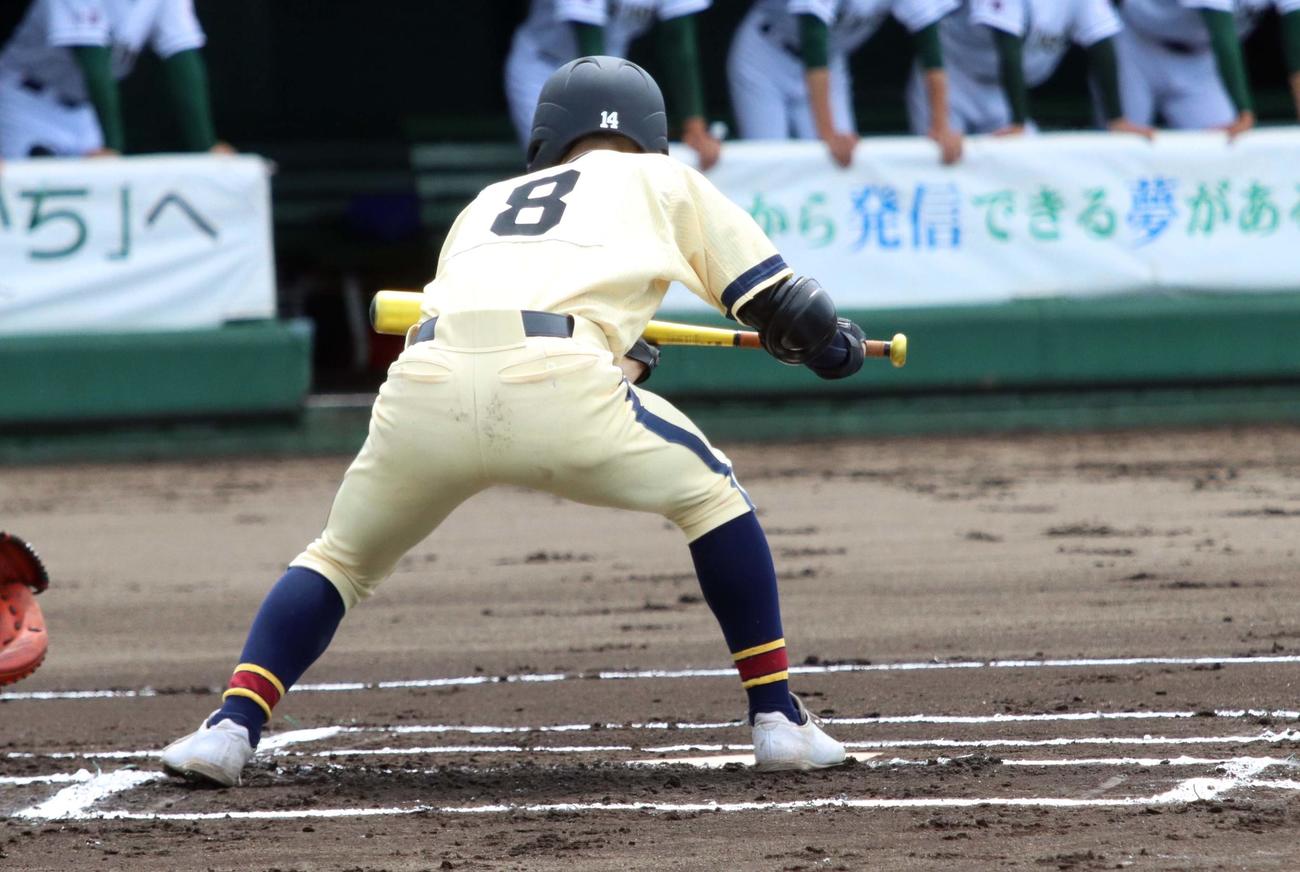 帯広農対足寄　1回帯広農無死二塁、バントの構えを見せる田中（撮影・永野高輔）