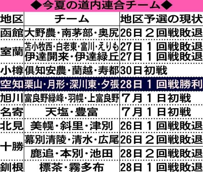 今夏参加している北海道内の連合チーム