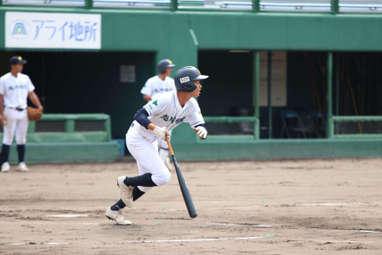 シート打撃で鋭い当たりを放つ旭川明成・植木（撮影・山崎純一）