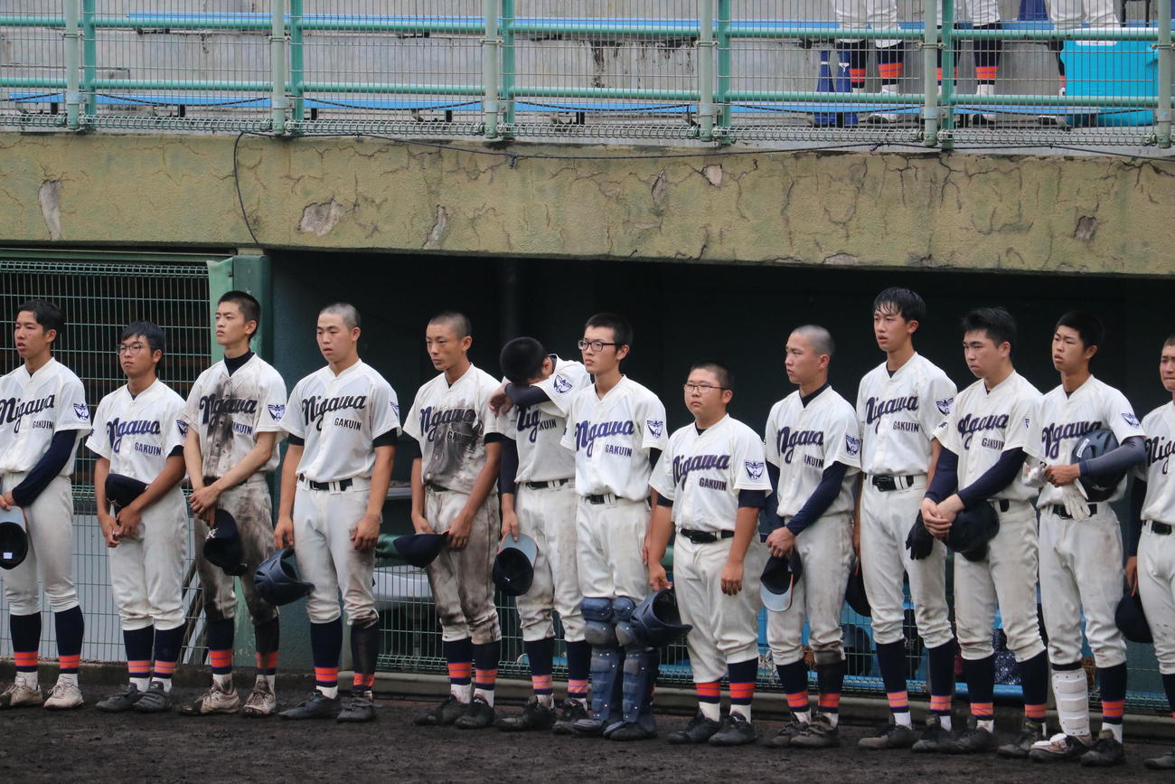 17年以来の夏“2勝”を逃した仁川学院の選手（撮影・益子浩一）