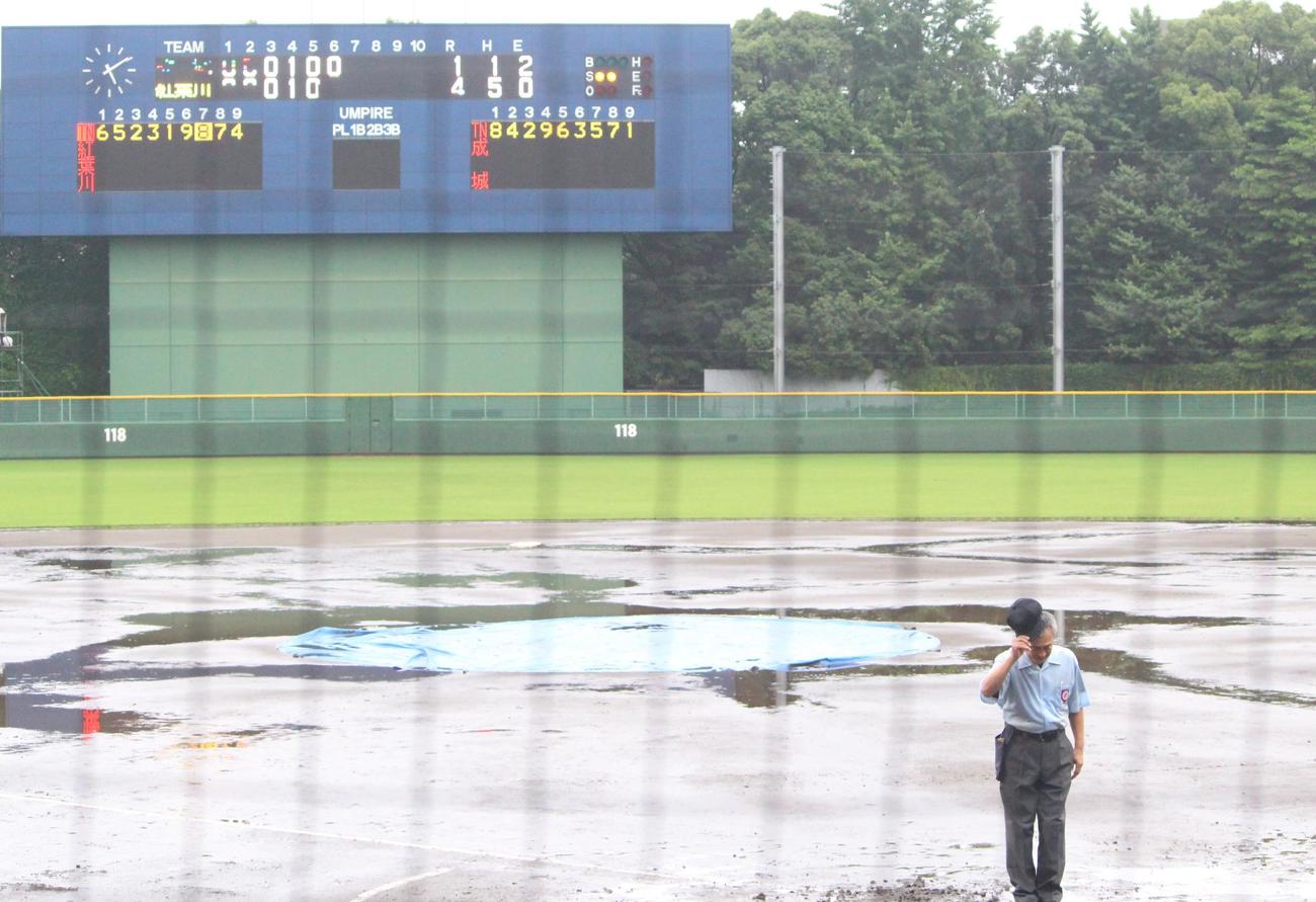 成城対紅葉川　継続試合が雨天のため中止となった（撮影・保坂恭子）
