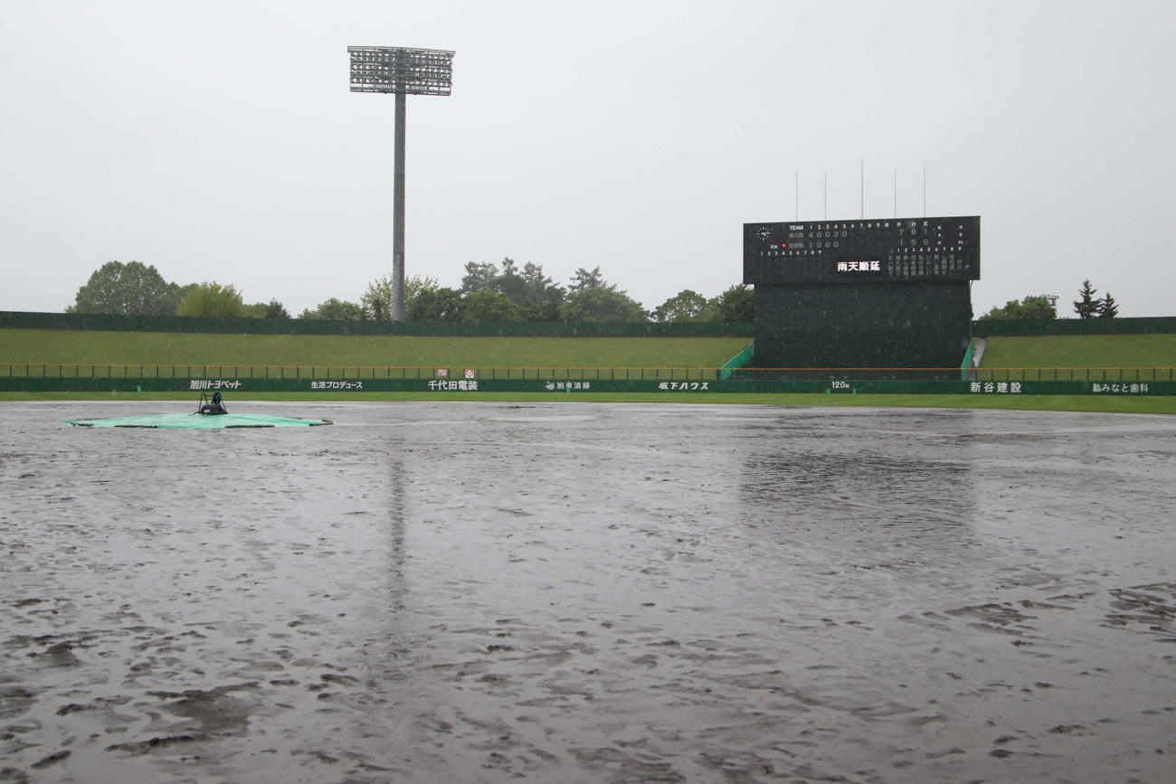大雨が降り注ぐ旭川スタルヒン球場（撮影・山崎純一）