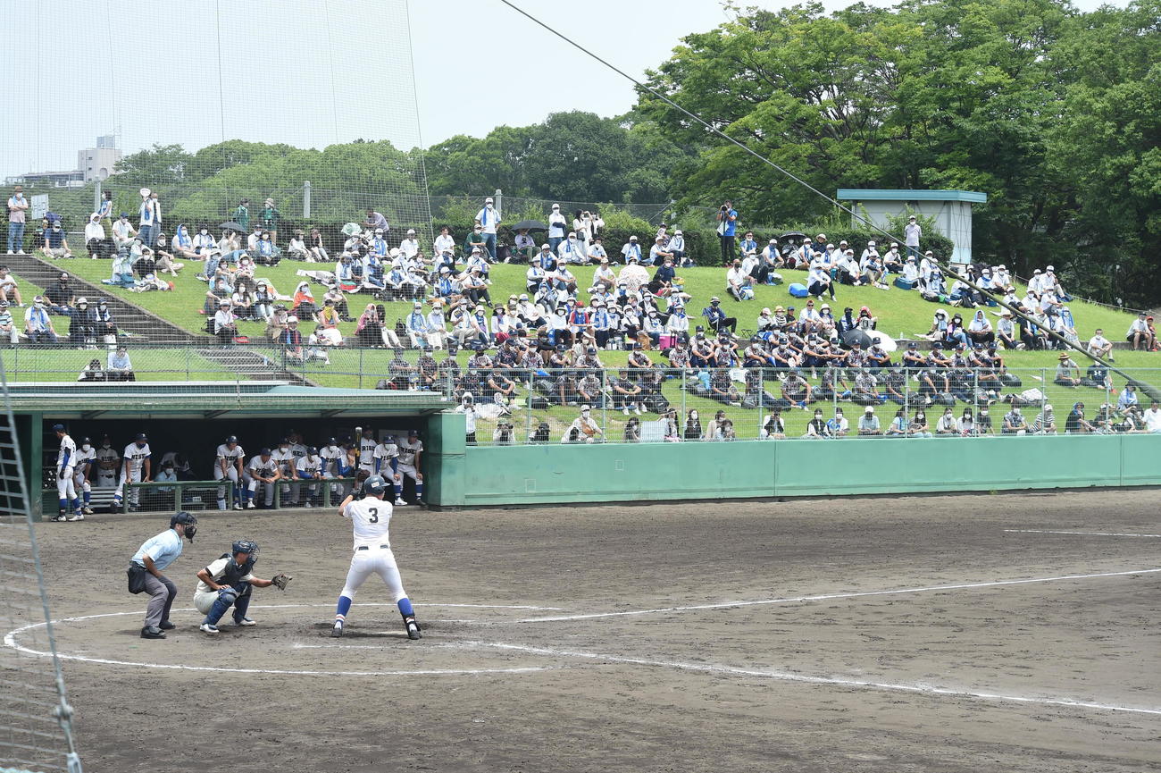 阿武野対履正社　多くの観客が履正社側のスタンドを埋めた
