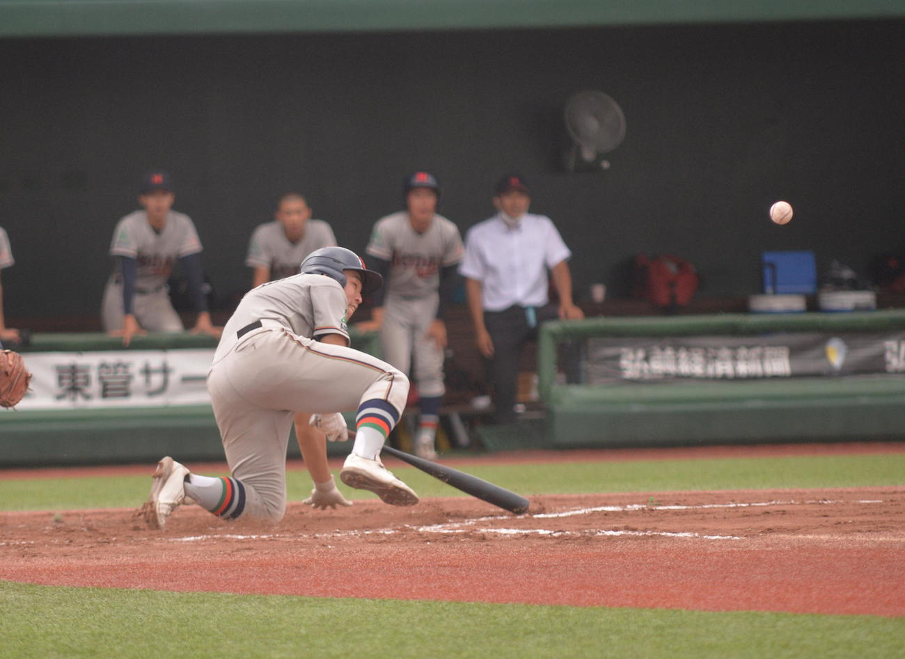青森山田対八戸工大一　初回1死一、三塁で、八戸工大一・舘が先制スクイズを決める（撮影・濱本神威）