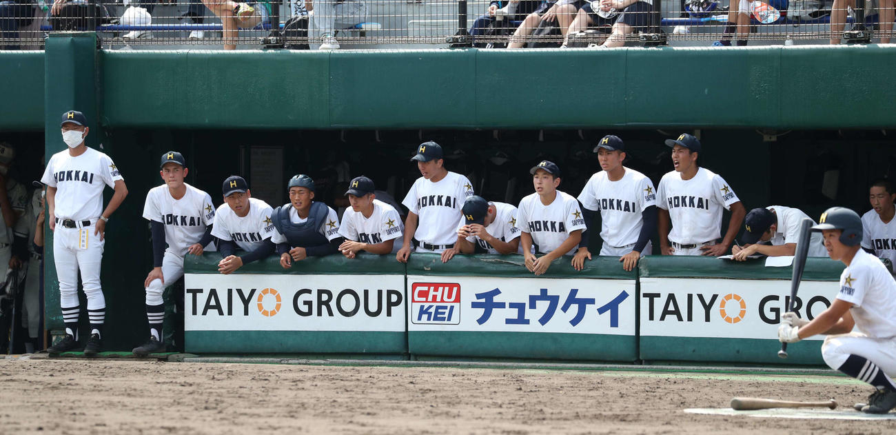 札幌大谷対北海　ベンチから試合を見つめる北海ナイン（撮影・黒川智章）