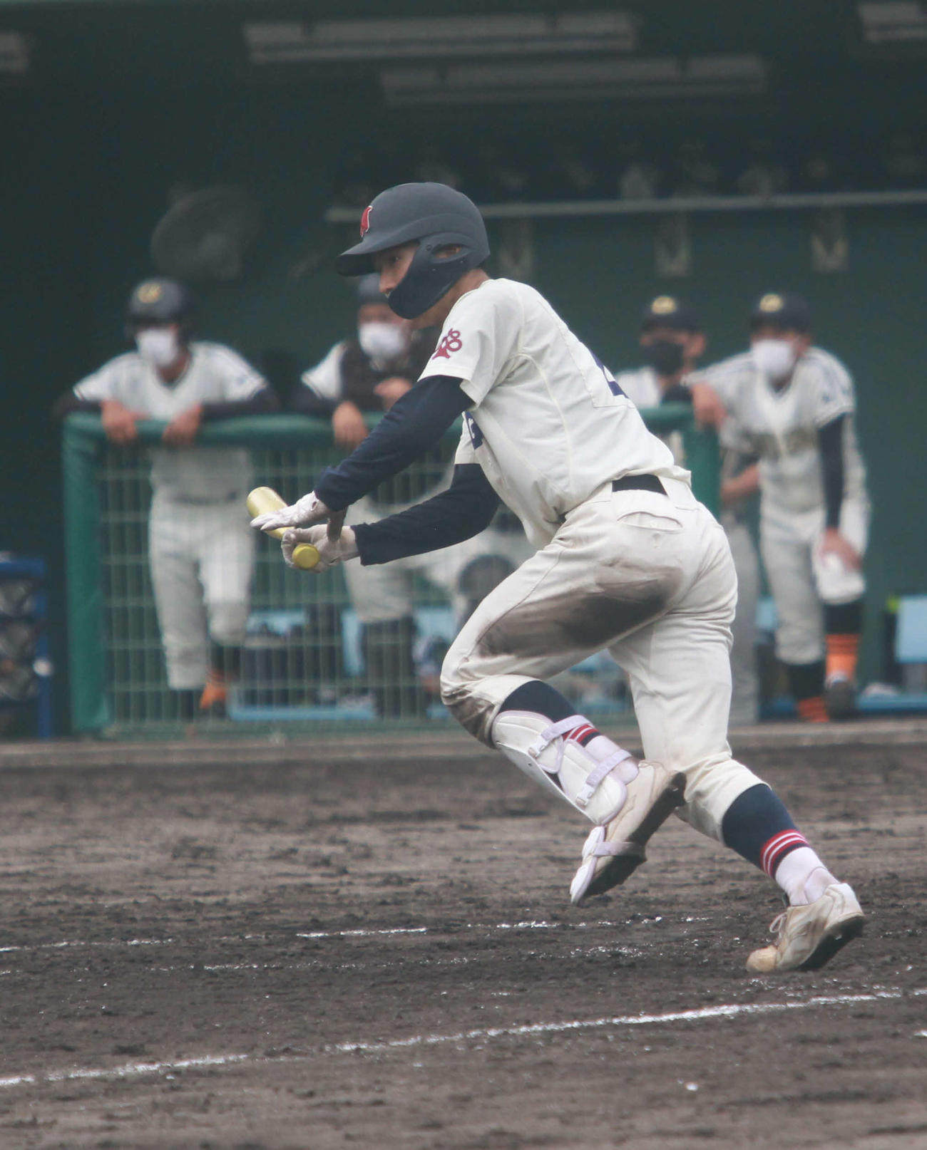 新潟対長岡商　7－0の4回2死一塁、新潟の4番小林が左前打でつなぐ