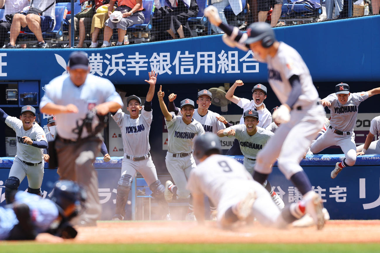 東海大相模対横浜　9回裏横浜2死二塁、萩宗久の適時打でサヨナラ勝ちで優勝を果たし勢い良くベンチを飛び出す横浜ナイン（撮影・垰建太）