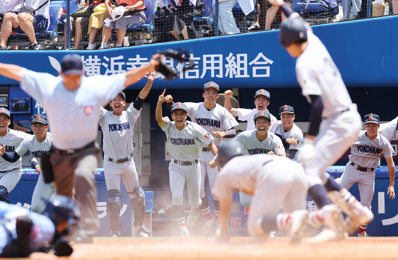 東海大相模対横浜　9回裏横浜2死二塁、萩宗久の適時打でサヨナラ勝ちで優勝を果たし勢い良くベンチを飛び出す横浜ナイン（撮影・垰建太）