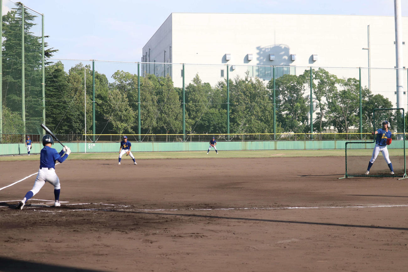 1回戦社戦に向けて練習する県岐阜商ナイン（撮影・波部俊之介）