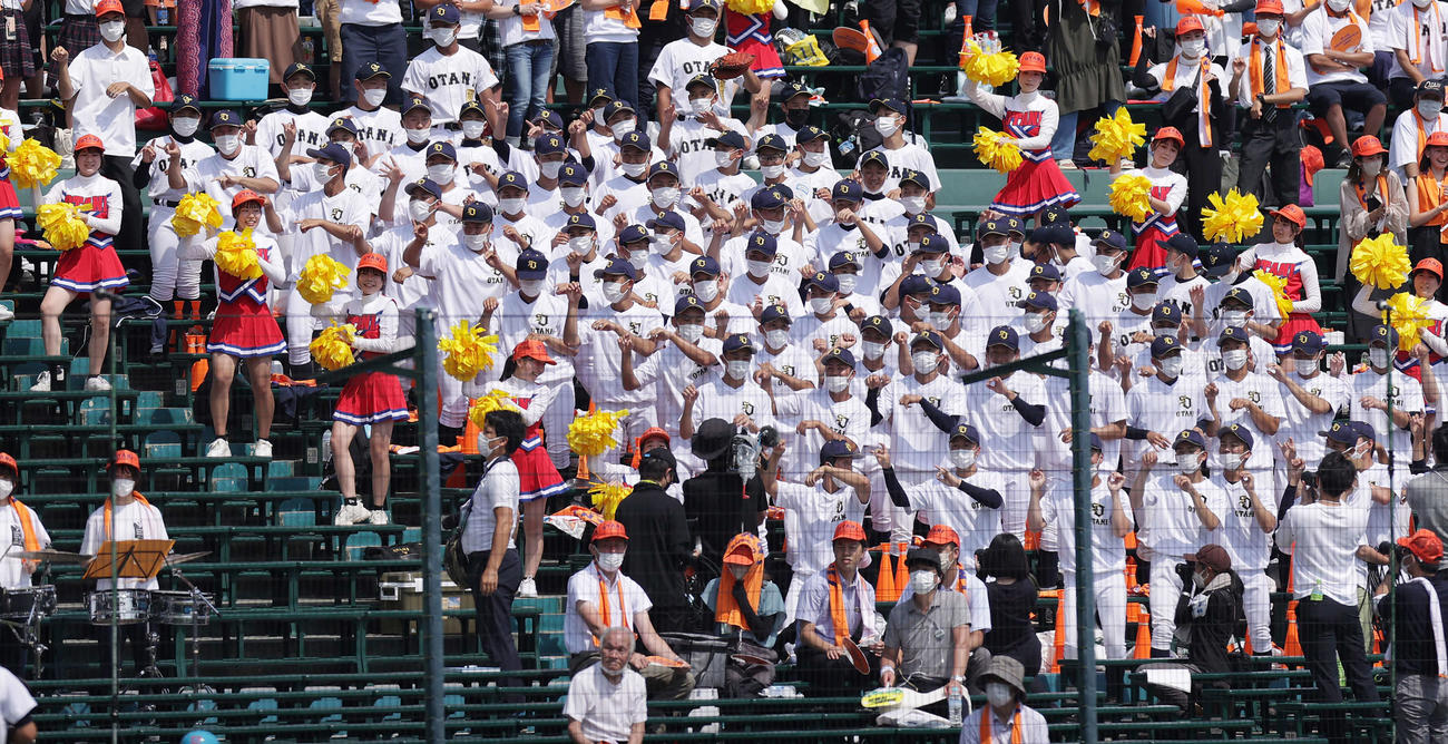 札幌大谷対二松学舎大付　アルプススタンドから「きつねダンス」で応援する札幌大谷の応援団（撮影・前田充）