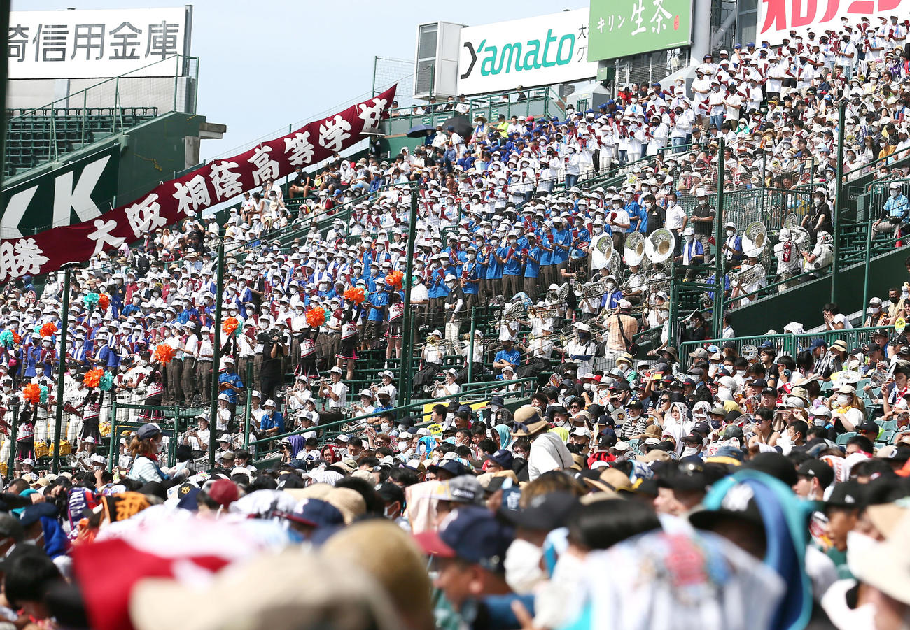 旭川大高対大阪桐蔭　大阪桐蔭ナインの攻撃を後押しする大阪桐蔭吹奏楽部（撮影・上山淳一）