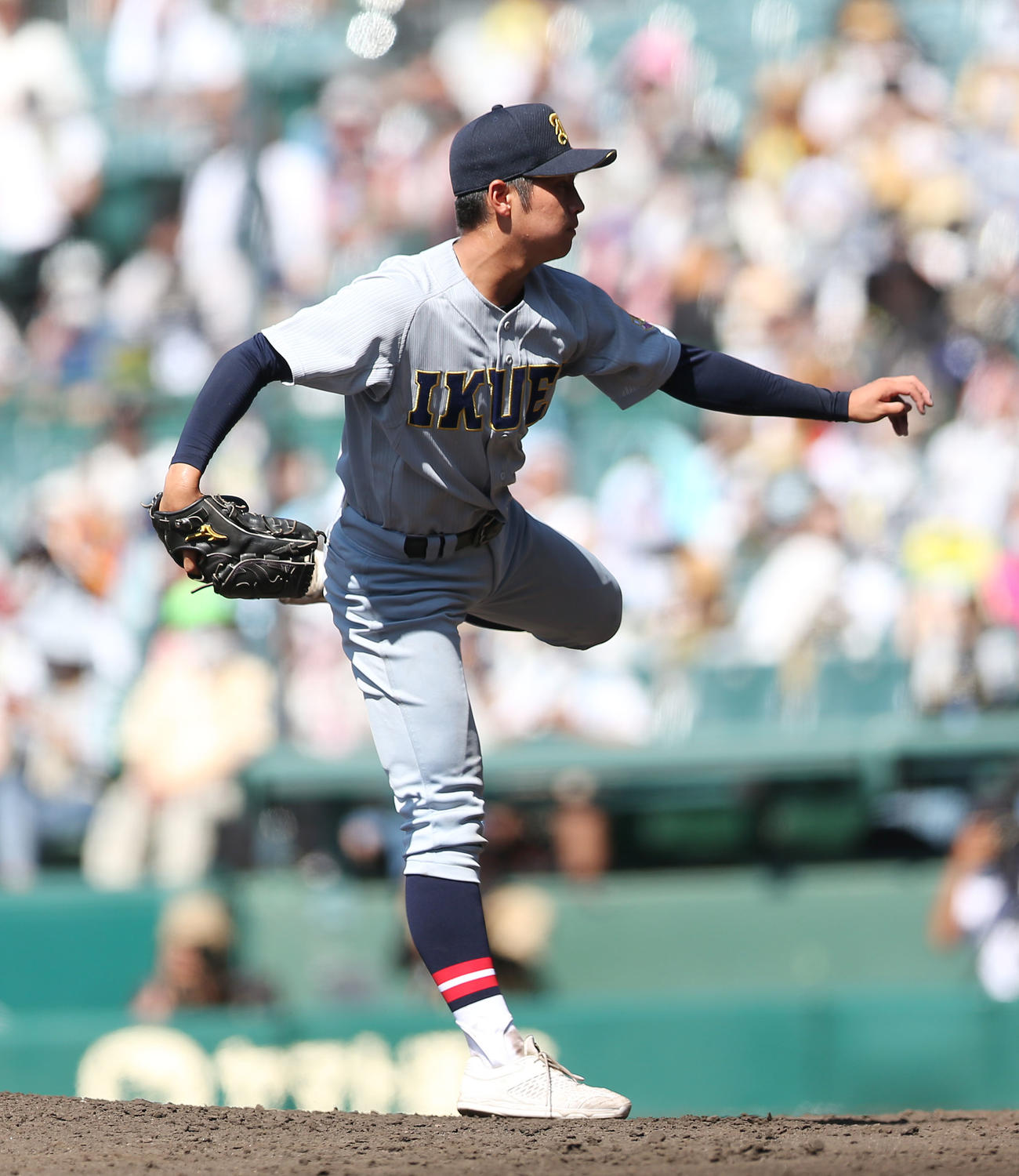 鳥取商対仙台育英　力投する仙台育英3番手の仁田（撮影・宮地輝）