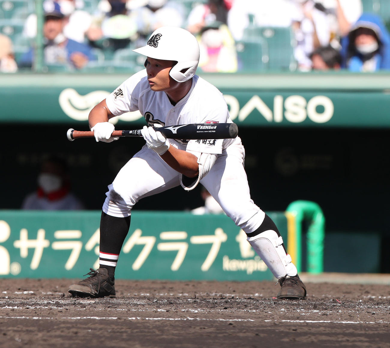 有田工対浜田　4回表有田工1死、左打席でバントの構えをする山口洸（撮影・白石智彦）