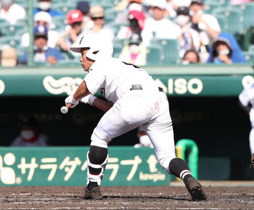 有田工対浜田　4回表有田工1死、右打席でバントの構えをする山口洸（撮影・白石智彦）