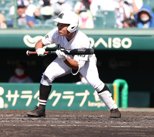 有田工対浜田　4回表有田工1死、左打席でバントの構えをする山口洸（撮影・白石智彦）