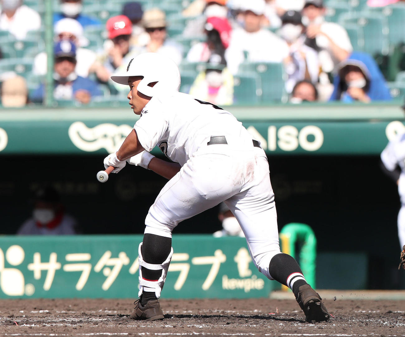 有田工対浜田　4回表有田工1死、右打席でバントの構えをする山口洸（撮影・白石智彦）