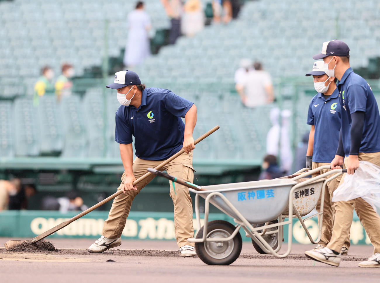 グラウンドを整備する阪神園芸（撮影・上山淳一）