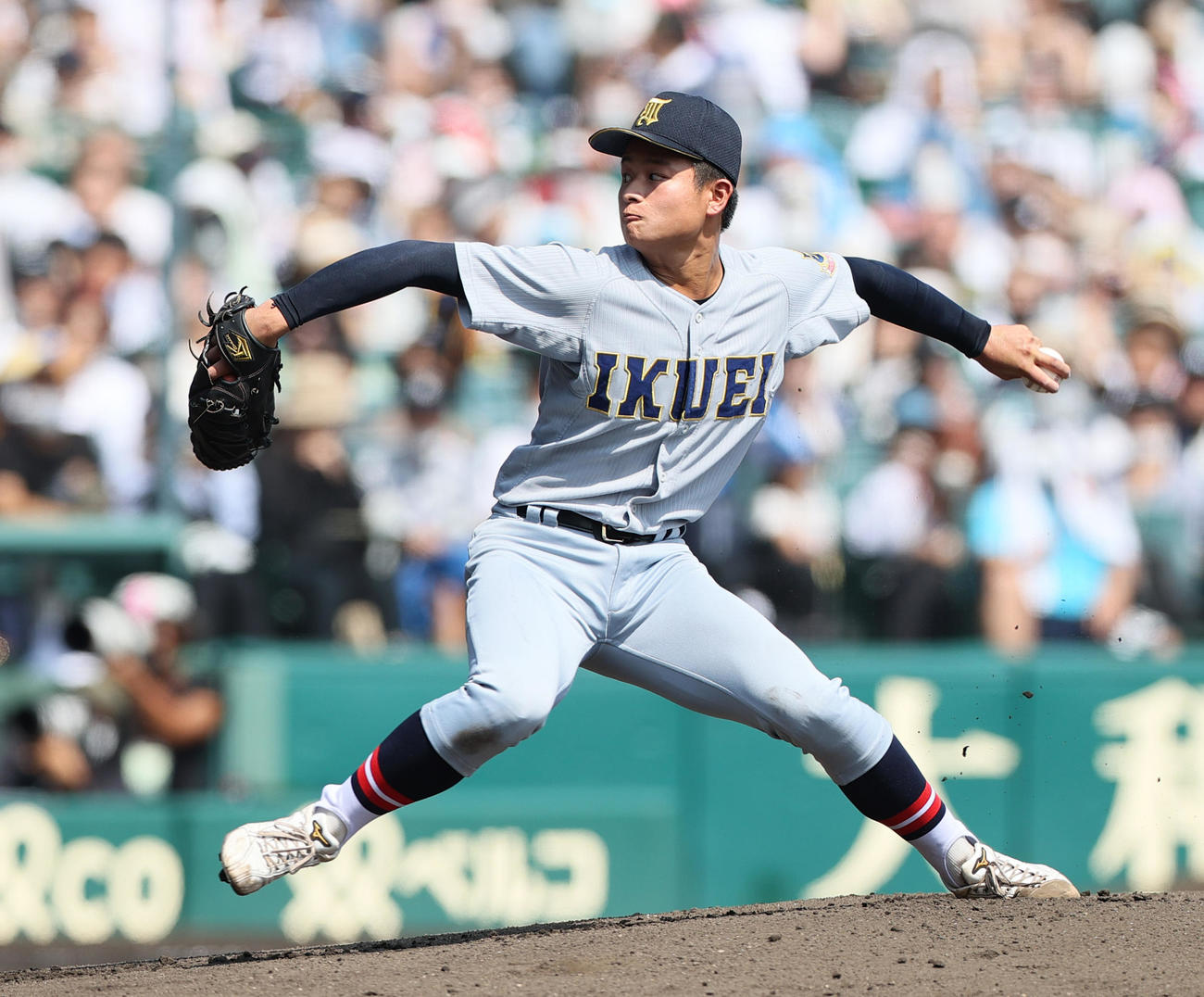 力投する仙台育英先発の斎藤蓉（撮影・上山淳一）