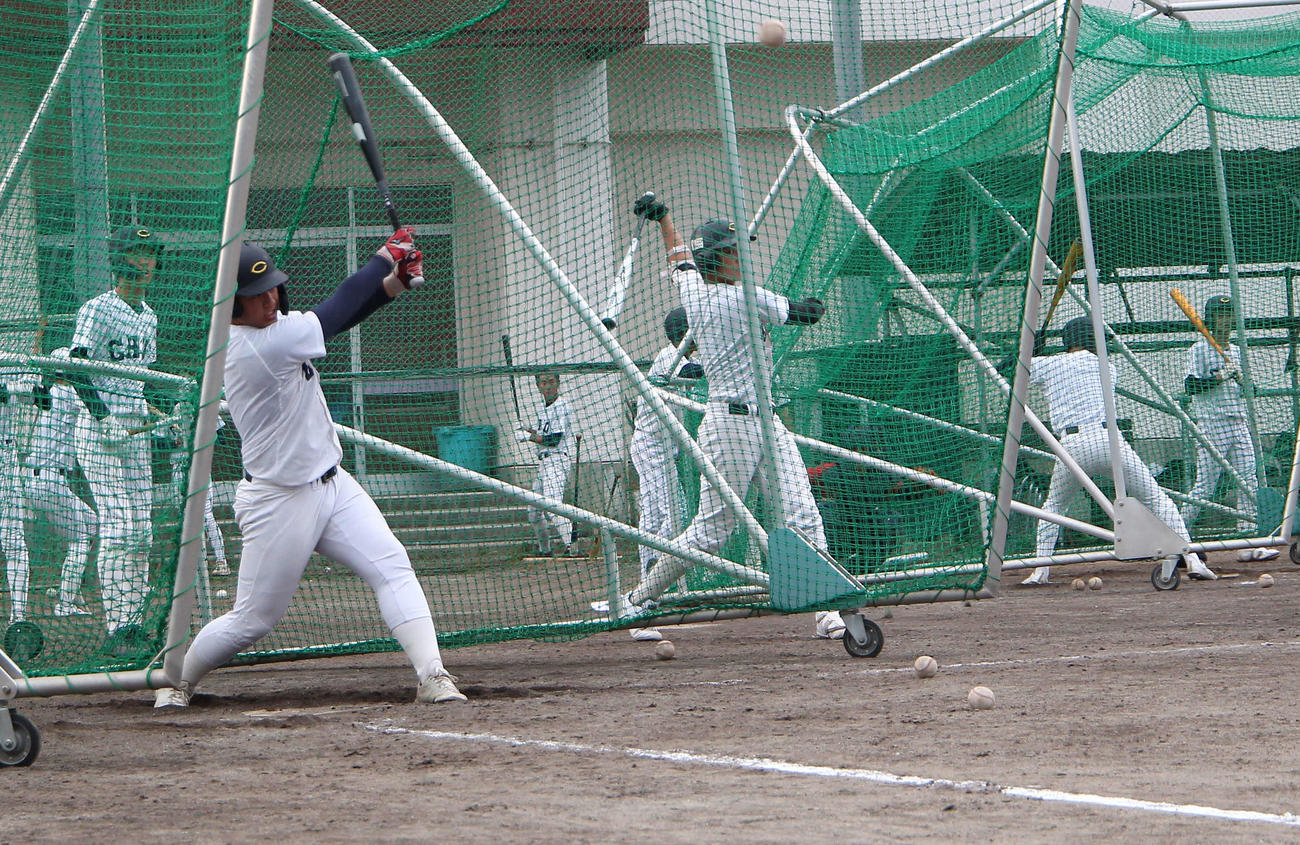打撃練習に励む新発田中央ナイン