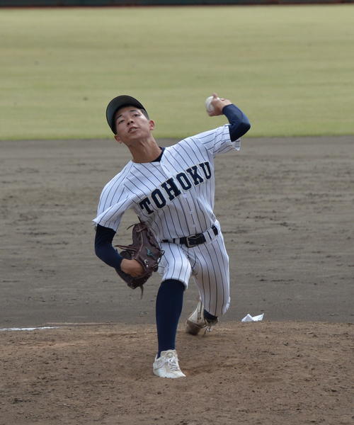 仙台育英対東北　東北の3番手は秋本（撮影・濱本神威）