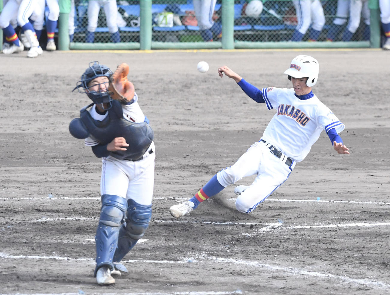 乙訓対高田商　9回裏　高田商・米田真はサヨナラ生還（撮影・滝沢美穂子）