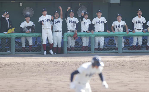 大阪桐蔭対彦根総合　4回表大阪桐蔭2死満塁、南川（手前）が勝ち越しとなる押し出し死球を受け、ベンチで喜ぶ大阪桐蔭ナイン（撮影・前田充）