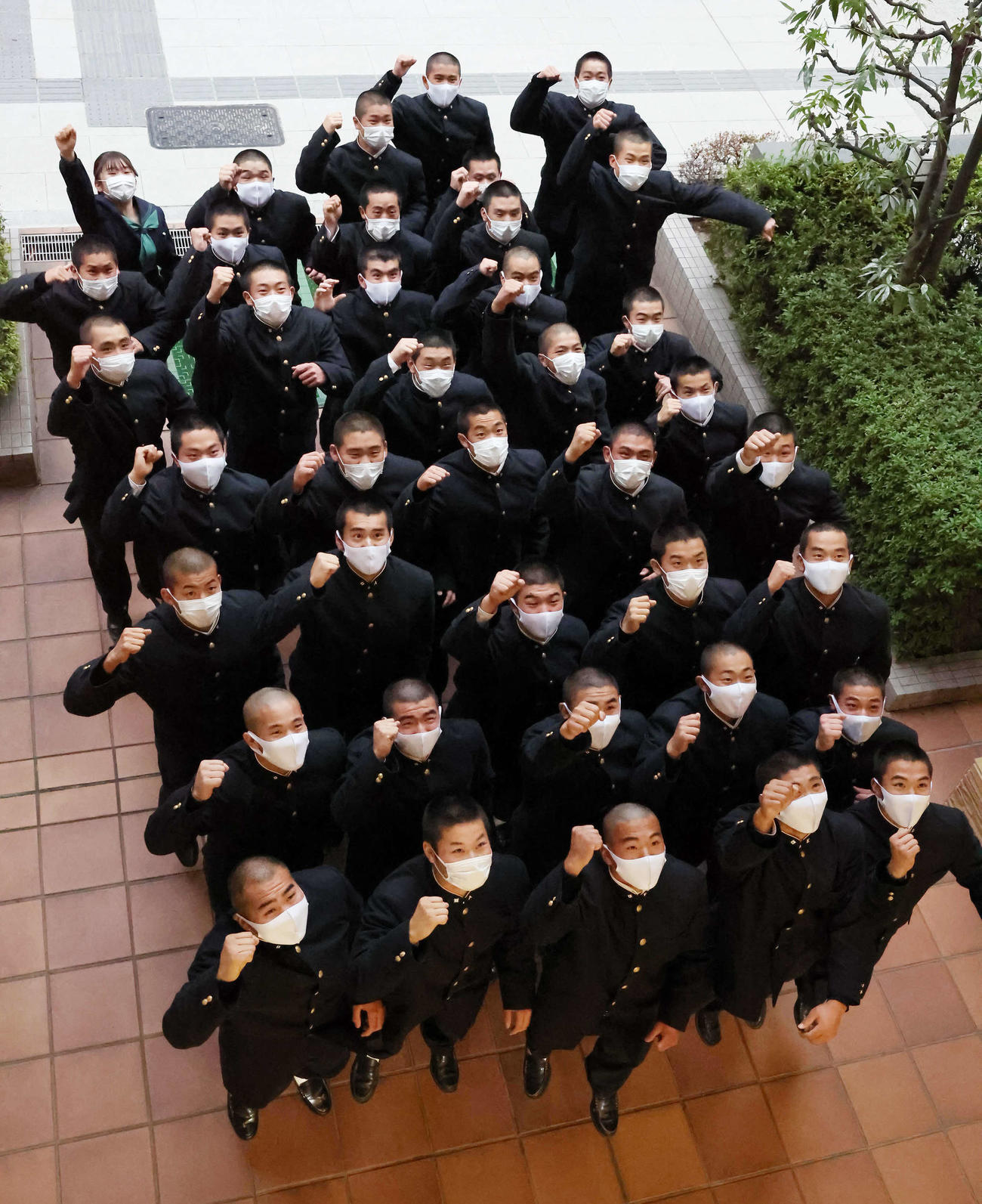 第95回選抜高校野球大会に選ばれて、ジャンプして喜ぶ二松学舎大付の選手たち（撮影・丹羽敏通）