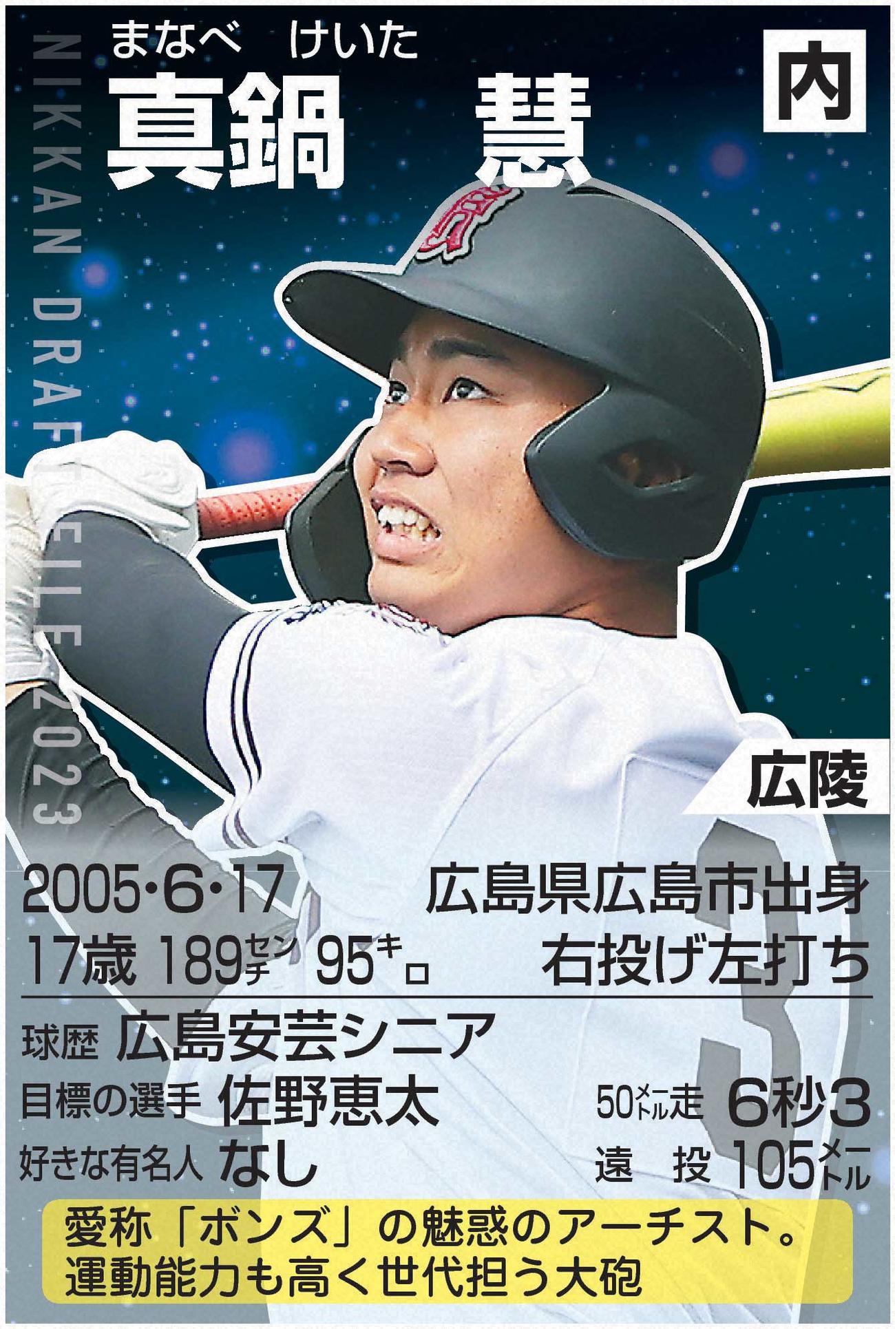 ドラフトファイル：真鍋慧