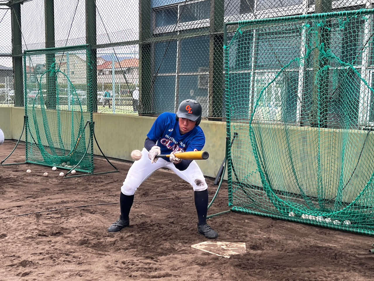 バント練習をするクラーク・坂本（学校提供）