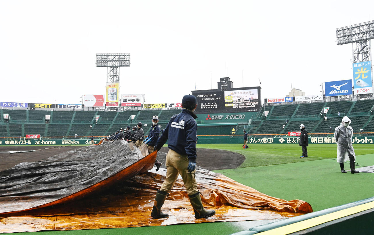 シートをめくる阪神園芸の職員（撮影・前岡正明）