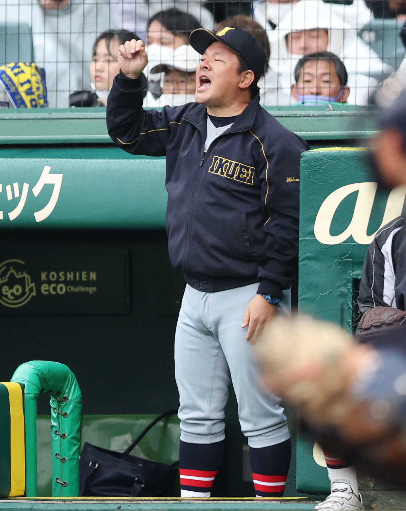 慶応対仙台育英　ベンチから声を出す仙台育英・須江監督（撮影・宮地輝）