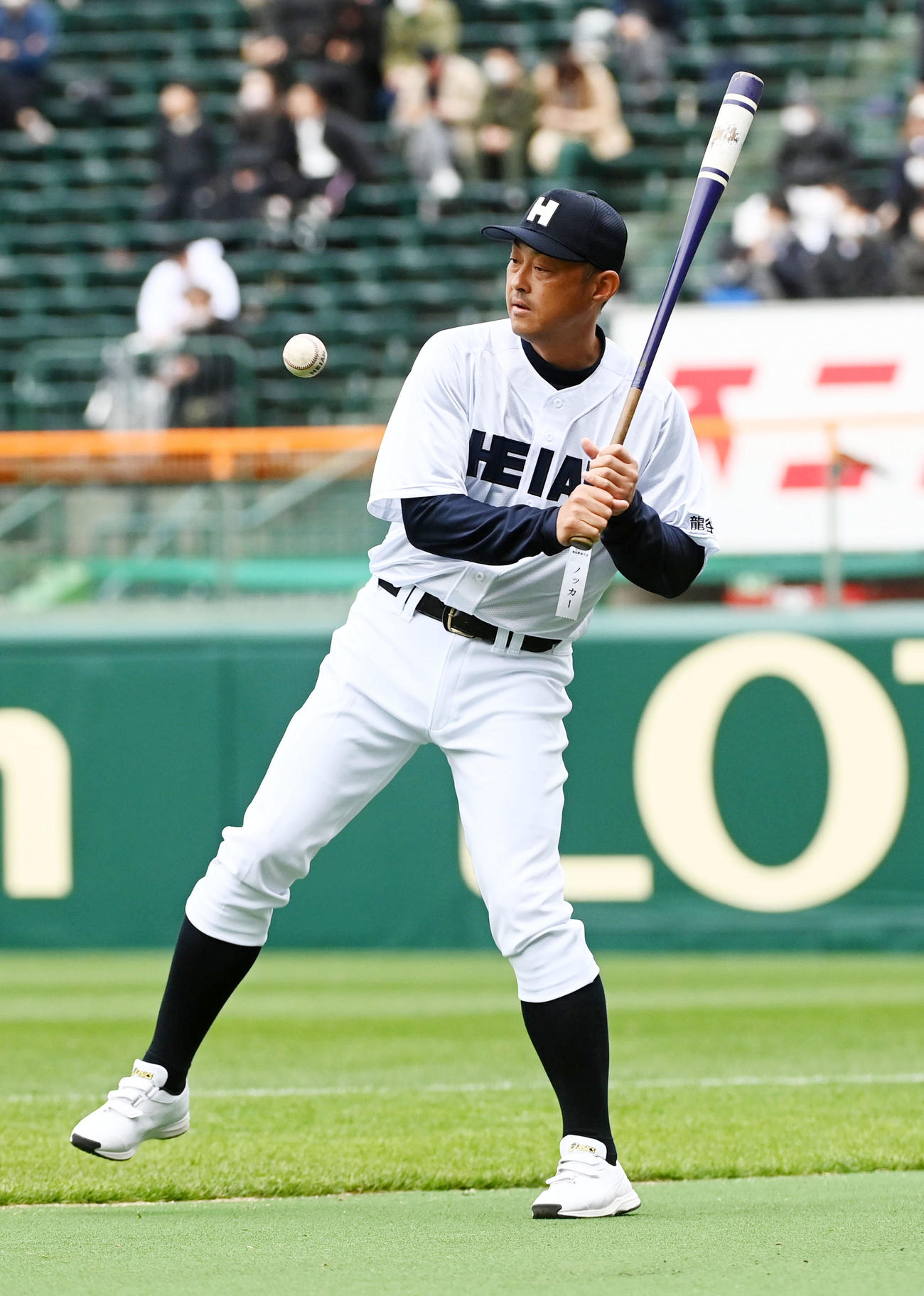 龍谷大平安対長崎日大　試合前にノックを行う龍谷大平安・川口コーチ（撮影・前岡正明）