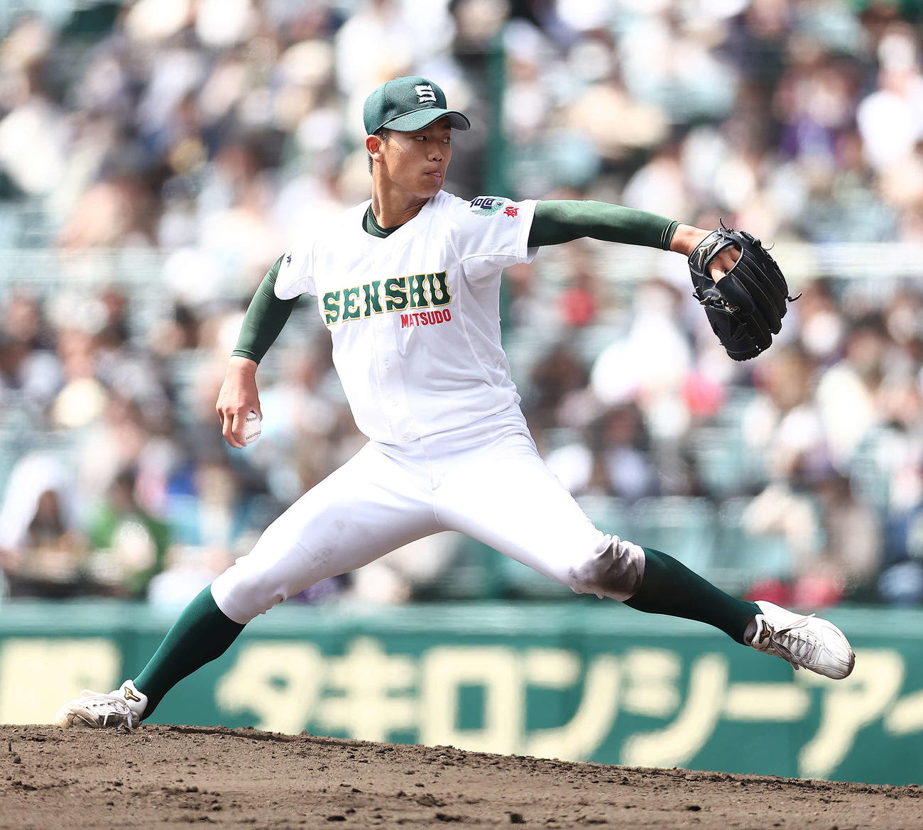 高知対専大松戸　3回表、力投する専大松戸・平野（撮影・河田真司）