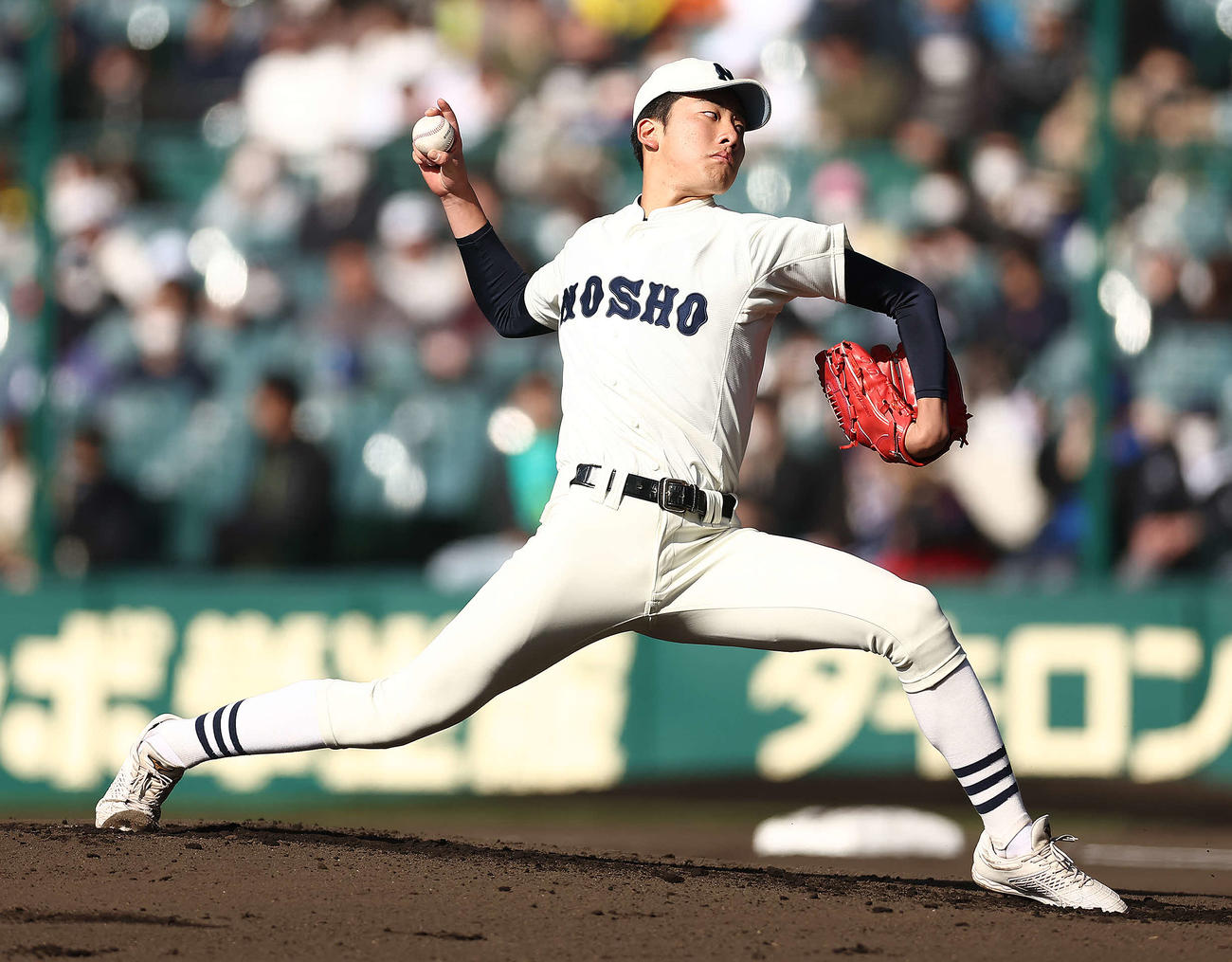 能代松陽対大阪桐蔭　先発で力投する能代松陽・森岡（撮影・河田真司）