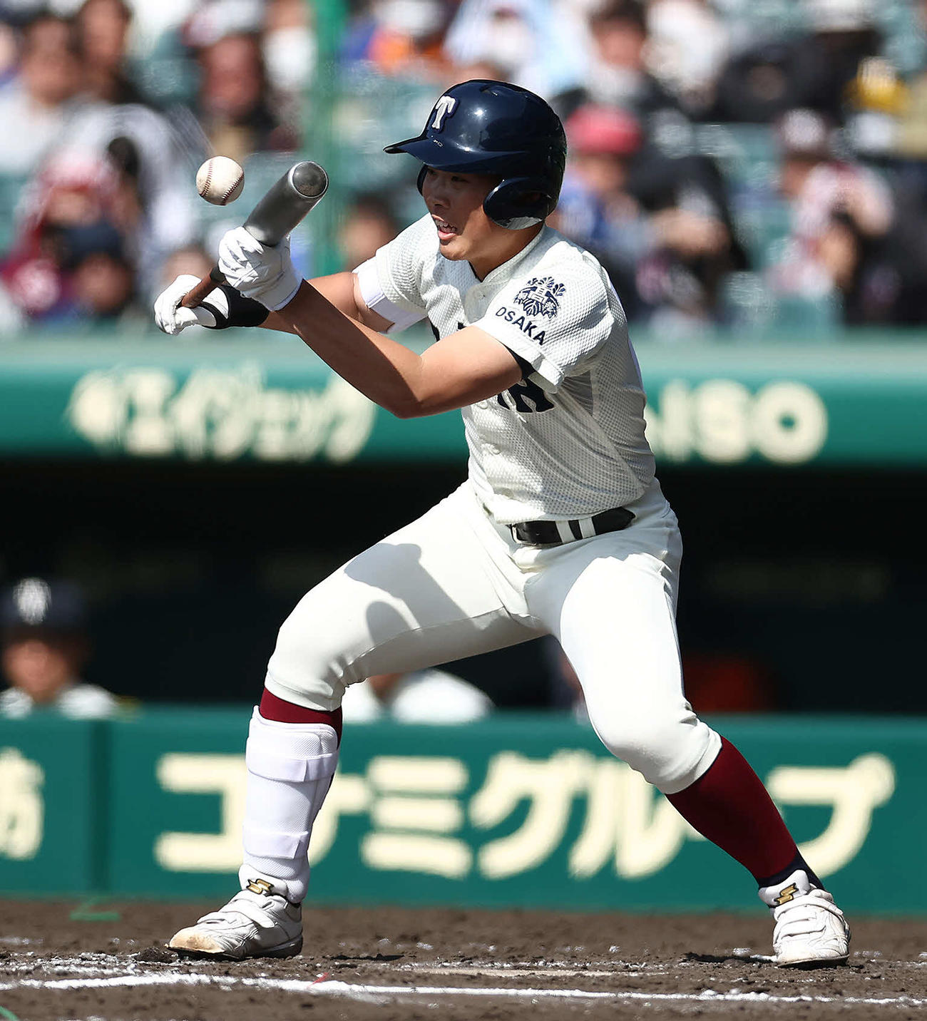 能代松陽対大阪桐蔭　7回裏大阪桐蔭1死三塁、スクイズを決める村本（撮影・河田真司）